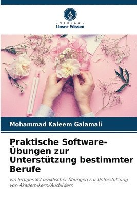 bokomslag Praktische Software-bungen zur Untersttzung bestimmter Berufe