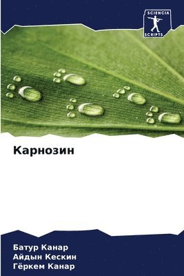 &#1050;&#1072;&#1088;&#1085;&#1086;&#1079;&#1080;&#1085; 1