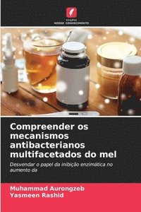 bokomslag Compreender os mecanismos antibacterianos multifacetados do mel