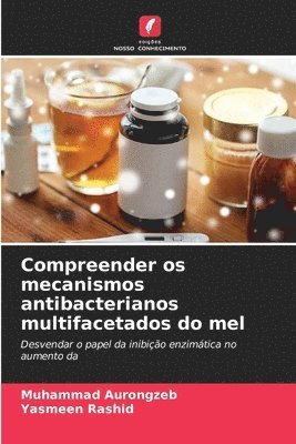 Compreender os mecanismos antibacterianos multifacetados do mel 1