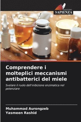 bokomslag Comprendere i molteplici meccanismi antibatterici del miele