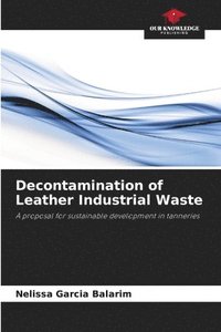 bokomslag Decontamination of Leather Industrial Waste