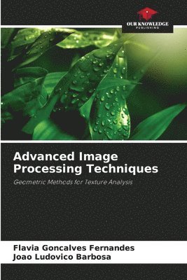 bokomslag Advanced Image Processing Techniques