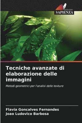 Tecniche avanzate di elaborazione delle immagini 1