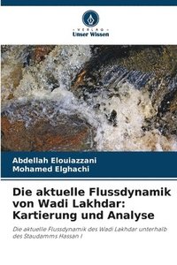 bokomslag Die aktuelle Flussdynamik von Wadi Lakhdar