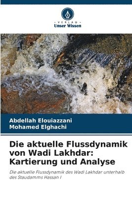 Die aktuelle Flussdynamik von Wadi Lakhdar 1