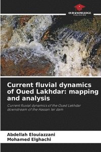 bokomslag Current fluvial dynamics of Oued Lakhdar