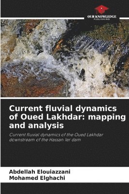 Current fluvial dynamics of Oued Lakhdar 1