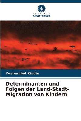Determinanten und Folgen der Land-Stadt-Migration von Kindern 1