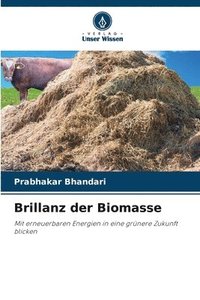 bokomslag Brillanz der Biomasse