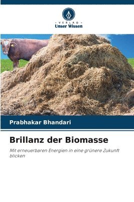 Brillanz der Biomasse 1