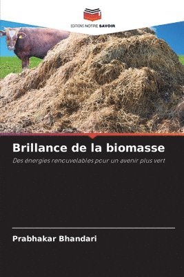 bokomslag Brillance de la biomasse