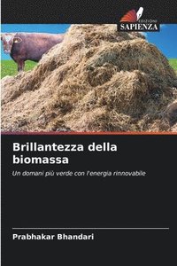 bokomslag Brillantezza della biomassa
