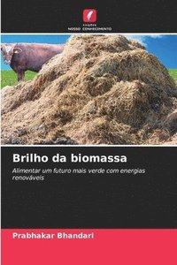 bokomslag Brilho da biomassa