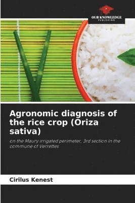 Agronomic diagnosis of the rice crop (Oriza sativa) 1