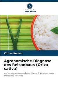 bokomslag Agronomische Diagnose des Reisanbaus (Oriza sativa)
