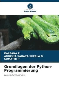bokomslag Grundlagen der Python-Programmierung