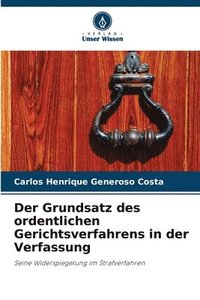 bokomslag Der Grundsatz des ordentlichen Gerichtsverfahrens in der Verfassung