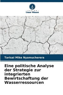 bokomslag Eine politische Analyse der Strategie zur integrierten Bewirtschaftung der Wasserressourcen