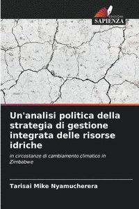 bokomslag Un'analisi politica della strategia di gestione integrata delle risorse idriche