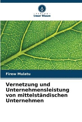 bokomslag Vernetzung und Unternehmensleistung von mittelstndischen Unternehmen