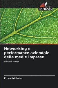 bokomslag Networking e performance aziendale delle medie imprese