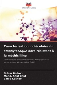 bokomslag Caractrisation molculaire du staphylocoque dor rsistant  la mthicilline