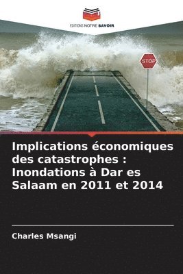 bokomslag Implications conomiques des catastrophes