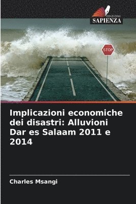 bokomslag Implicazioni economiche dei disastri