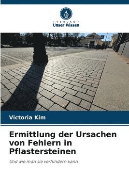 bokomslag Ermittlung der Ursachen von Fehlern in Pflastersteinen