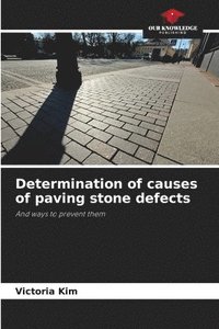 bokomslag Determination of causes of paving stone defects