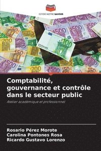 bokomslag Comptabilit, gouvernance et contrle dans le secteur public