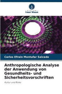 bokomslag Anthropologische Analyse der Anwendung von Gesundheits- und Sicherheitsvorschriften