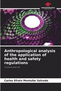 bokomslag Anthropological analysis of the application of health and safety regulations