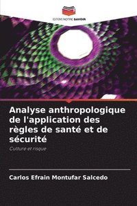 bokomslag Analyse anthropologique de l'application des rgles de sant et de scurit