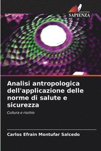 bokomslag Analisi antropologica dell'applicazione delle norme di salute e sicurezza