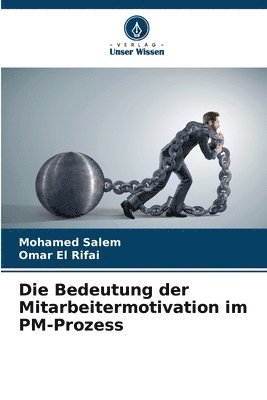 bokomslag Die Bedeutung der Mitarbeitermotivation im PM-Prozess