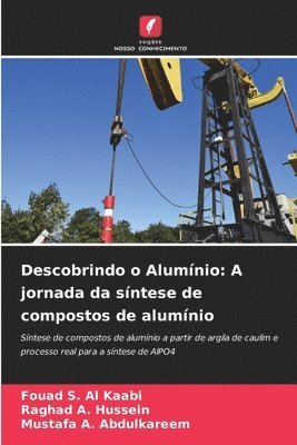 bokomslag Descobrindo o Alumnio