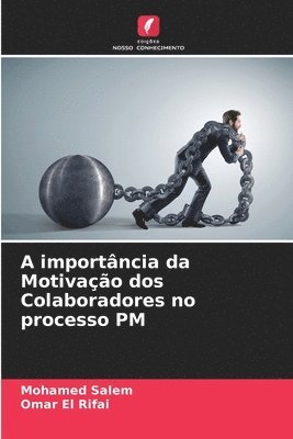 A importncia da Motivao dos Colaboradores no processo PM 1