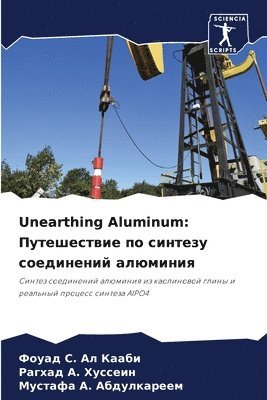 bokomslag Unearthing Aluminum