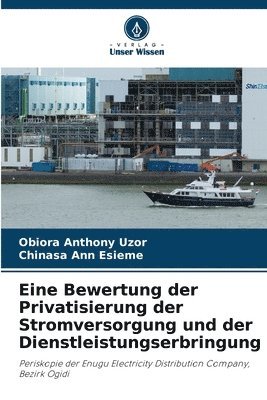 bokomslag Eine Bewertung der Privatisierung der Stromversorgung und der Dienstleistungserbringung