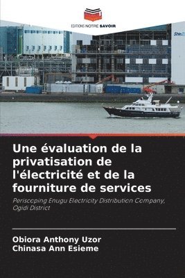 bokomslag Une valuation de la privatisation de l'lectricit et de la fourniture de services