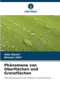 bokomslag Phnomene von Oberflchen und Grenzflchen