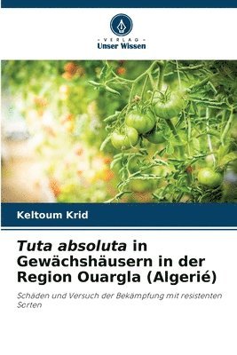 Tuta absoluta in Gewchshusern in der Region Ouargla (Algeri) 1