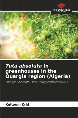 Tuta absoluta in greenhouses in the Ouargla region (Algeria) 1
