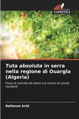 Tuta absoluta in serra nella regione di Ouargla (Algeria) 1