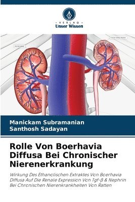 bokomslag Rolle Von Boerhavia Diffusa Bei Chronischer Nierenerkrankung