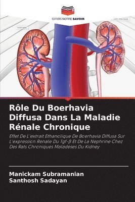 Rle Du Boerhavia Diffusa Dans La Maladie Rnale Chronique 1