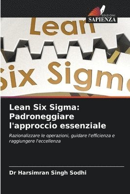 bokomslag Lean Six Sigma