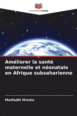 bokomslag Amliorer la sant maternelle et nonatale en Afrique subsaharienne